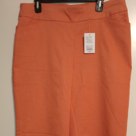 Capris - Picture 1 of 3